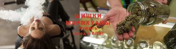 сатива Красноперекопск