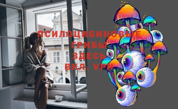 сатива Красноперекопск