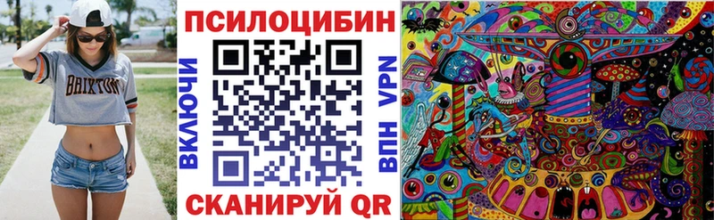 ссылка на мегу   Чернушка  Псилоцибиновые грибы мухоморы 