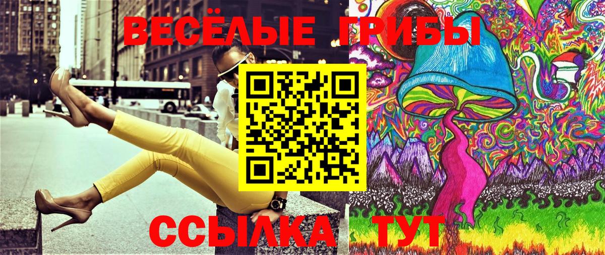 Псилоцибиновые грибы прущие грибы Чернушка